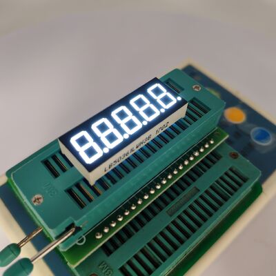 ভালো দাম Ultra White 5 Digit LED Display for Digital Indicators অনলাইন